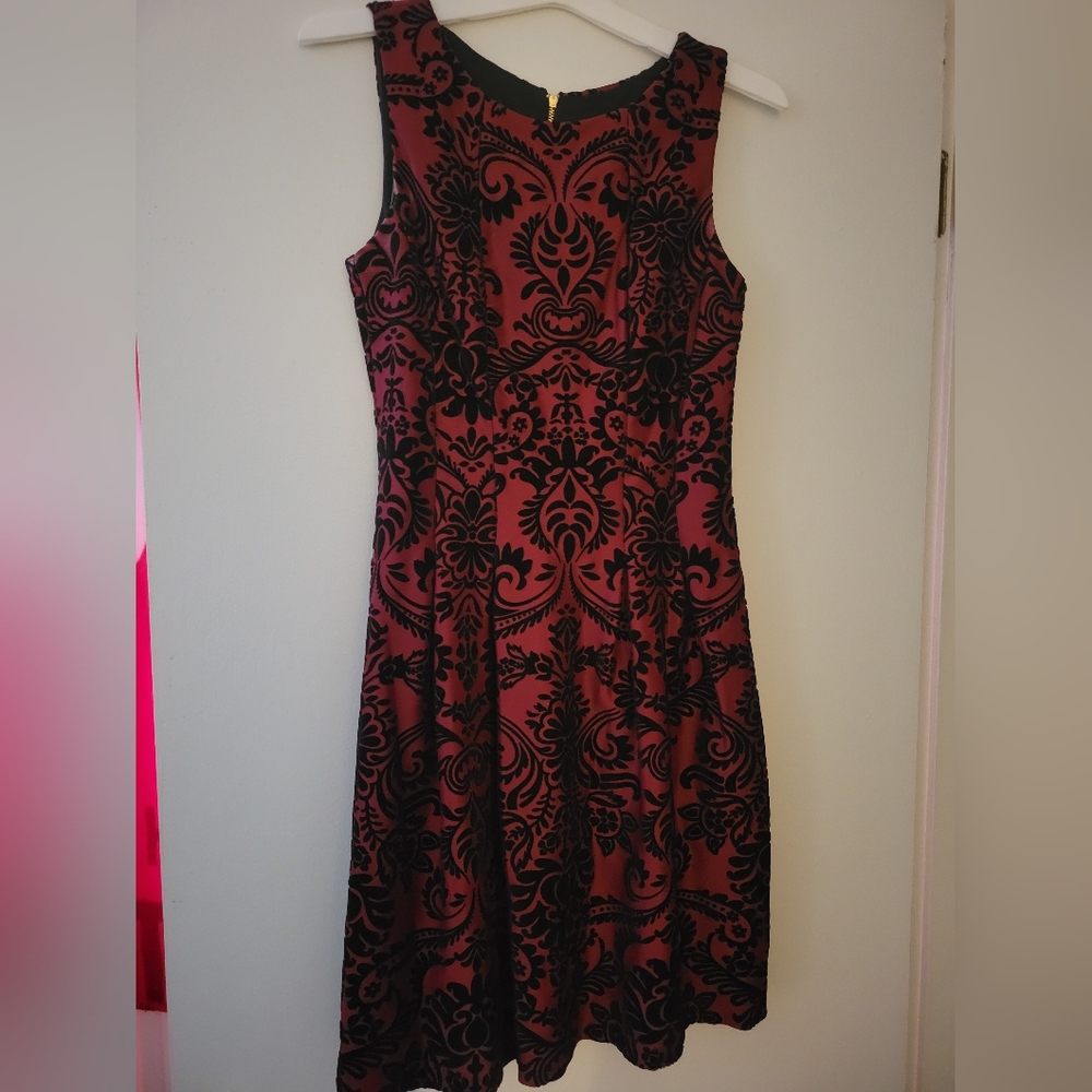 Velvet and red dress